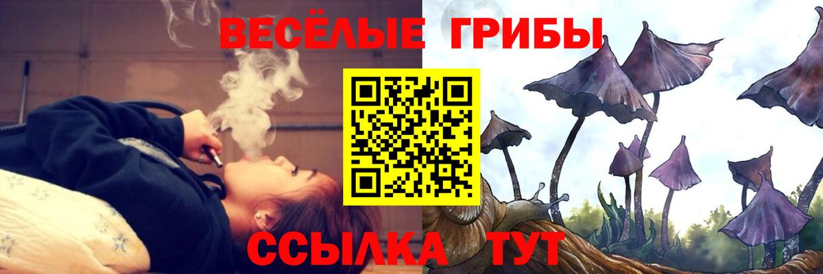 Псилоцибиновые грибы мухоморы Симферополь